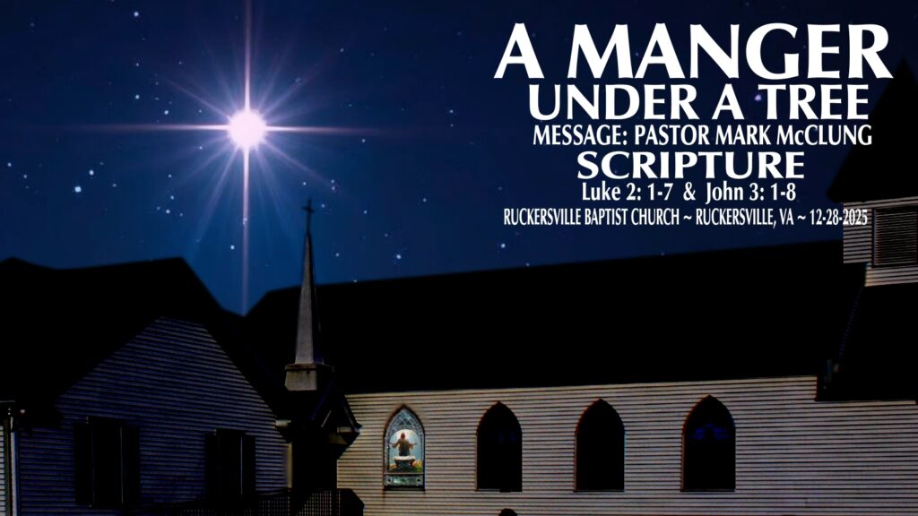 A MANGER UNDER A TREE